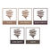 Kit de Sobrancelhas Anastasia Fuller-Looking & Feathered Brow Kit